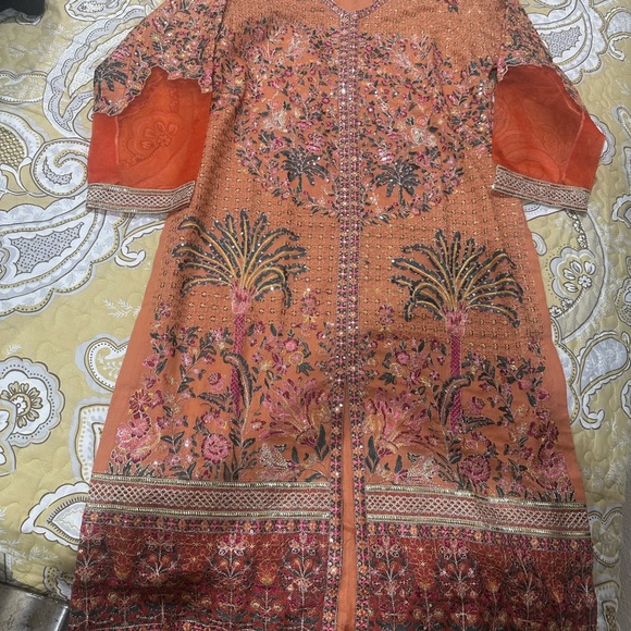 Pakistani dresses - Picture 4 of 11